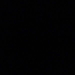 Meet your Posher, Bryce